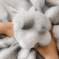 Extra Large Faux Fur Gradient Couch Cover Blanket: Plush, Fluffy, Warmth, Perfect Throw on the Sofa